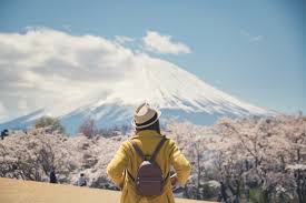 Fuji from all around the lake. A New Train Will Take Travellers From Tokyo To Mt Fuji Lonely Planet