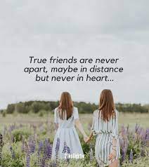 Die Allerbesten Freundschaftsspruche Der Ganzen Welt Spruche Uber Freundschaft Freundschaftsspruche Wahre Freunde Zitate