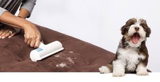 While it can take a little grab a clean, dry squeegee, the kind you use to dry off windows when washing them. Best Way To Get Dog Hair Off Furniture Off 79 Www Usushimd Com
