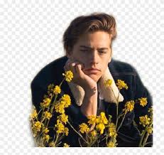 Cole sprouse wallpapers ,images ,backgrounds ,photos and pictures in 4k 5k 8k hd quality for computers, laptops, tablets and phones. Colesprouse Riverdale Cole Sprouse Yellow Freetoedit Lock Screen Cole Sprouse Wallpaper Hd Hd Png Download 749x712 5439694 Pngfind