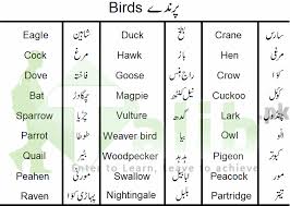 Animals Birds And Insects Names In Urdu English Tables Learn English Words English Vocabulary Words English Words