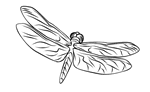 You could also print the picture. Free Dragonfly Coloring Pictures Just Print The Page And Color