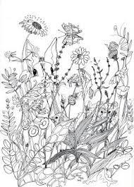Get out your crayons and get ready to color! Wildflower Drawing Flower Drawing Art Competitions