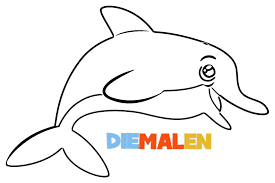 Am ende hast du dann eine ganze menagerie mit. J3o0y4cbex9uvm