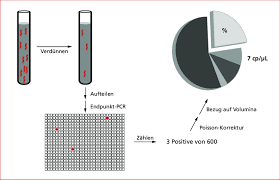With the fi rst entry, line 1 indicates whether and where the mismatch is introduced; Abb 1 Ablauf Der Digitalen Pcr Dpcr Fur Die Dpcr Wird Zunachst Die Download Scientific Diagram
