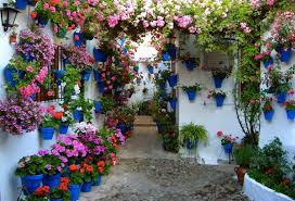 En primavera los abrían para que los de otras corralas o barrios vinieran a ver sus maravillas, explica miguel ángel roldán, presidente de la asociación de amigos de los patios cordobeses. The Patios Of Cordoba A Delight For The Senses Interasmundo