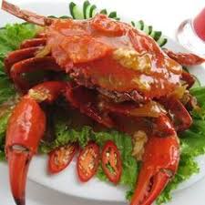 We did not find results for: 8 Ide Kepiting Asam Manis Resep Kepiting Kepiting Resep