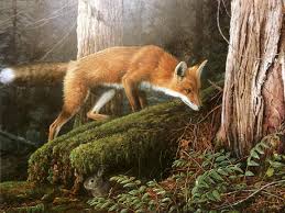 Check spelling or type a new query. 45 Woodland Animal Wallpaper On Wallpapersafari