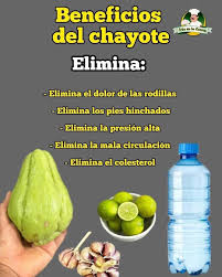 🌿 ¡Descubre los beneficios del chayote! 💪✨ El chayote no solo es  delicioso, ¡también es un aliado para tu salud! Incorporarlo en tu dieta  puede ayudarte a sentirte mejor cada día. ¿Por