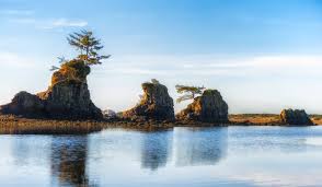 Lincoln city is a city in lincoln county on the oregon coast between tillamook and newport. Best Things To Do In Lincoln City Or Oregon Beach Vacations