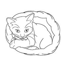 Kitten coloring pages are an easy way to let the cute out. Top 30 Free Printable Cat Coloring Pages For Kids