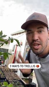 🍅 3 TOMATO TRELLISES 🍅 Here are a few simple options for you when growing  tomatoes in the ground:, #1 Florida Weave: Dramatically the cheapest at  about five dollars per T post, all you need is a T ...