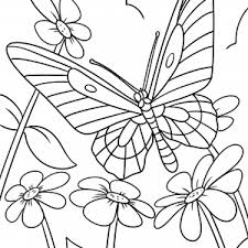 Schmetterlinge Malvorlage New Schmetterling Malvorlage Zum