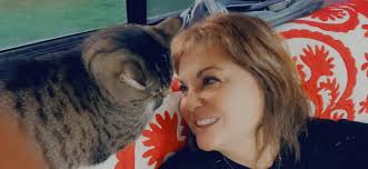 Truckers and their co-driving cats