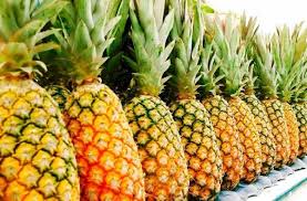 Benin Cajou Coton Ananas La Covid 19 Detraque L Economie Agricole
