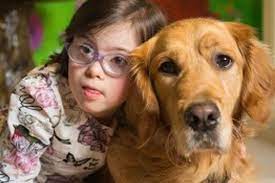 Golden Retriever And Girl 8 With Down S Syndrome Become Friends For Life Mirror Online