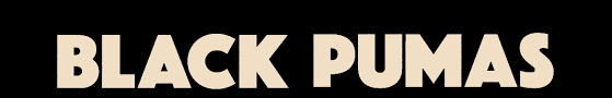 Puma se, branded as puma, is a german multinational corporation that designs and manufactures athletic and casual footwear, apparel and acce. Black Pumas Official Website