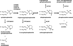 Image result for Cyclophosphamide