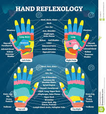 Hand Reflexology Massage Therapy Medical Vector Illustration