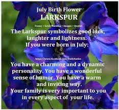 July Birth Flower Larkspur Funny Good Morning Images Good Morning Image Quotes Birth Month Quotes