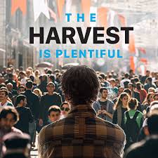 Image result for images for The harvest is plentiful