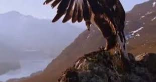 Impresionante Japon Chile Y Haiti En Vivo No Visto En Tv Y Reflexi Native American Indian Music El Pastor American Indian Music