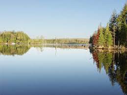 Maybe you would like to learn more about one of these? West Channel Thousand Island Lake Cisco Lakes Chain Gogebic County Michigan Fishing