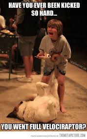 No Words Funny Pictures Funny Funny Cute