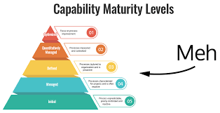 The maturity level of a child the bond will reach maturity in 10 years. Why Maturity Models Don T Work Barry O Reilly
