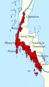 Image result for Tidal Wave 2004 Tiburon