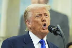 A Trump film tariff would send Canadian screen industry into 'chaos,' say  local producers