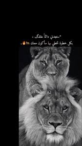 Pin By Lolo Alogyde On Lion اسد Islamic Posters Islamic Quotes Wallpaper Arabic Love Quotes
