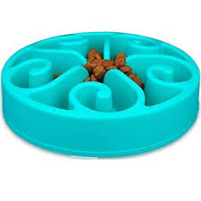 You can appeal to your cat's inner playful hunter by using other feeding vessels for dry food. The 11 Best Slow Feeder Cat Bowls Of 2021 Cat Loves Best