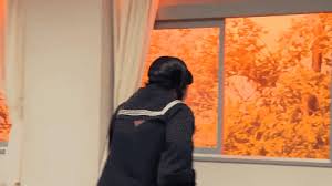 Broadcast tv, social media (youtube. Dog Jumping Through Window Meme Dunia Belajar