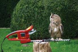 Sie war noch nie im gebrauch da. Technik Zu Hause Wolf Garten Heckenschere Schwenkt Um 180 Grad