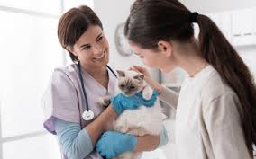 The mobile clinic provides free physical exams, low cost vaccinations and access to affordable prescription medications. Care For Your Pet After Vaccination Vca Animal Hospital
