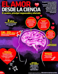 090217 1 Temas De Psicologia Ciencia Y Conocimiento Neurociencia Y Educacion