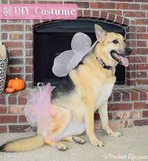 Make A Quick And Inexpensive Fairy Princess Halloween Costume For Your Big Dog Big Dog Halloween Costumes Dog Halloween Costumes Diy Dog Halloween Costumes