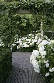 I offer a complete garden design service from onsite consultations to full. 50 Modern Front Yard Designs And Ideas Renoguide Australian Renovation Ideas And Inspiration