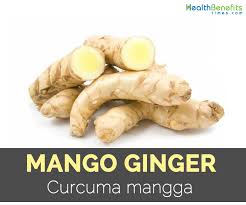 5 medicinal uses of ginger. Mango Ginger Facts And Health Benefits