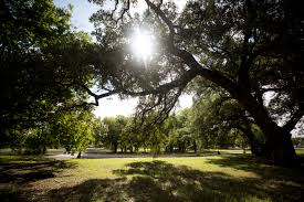 Image result for parque