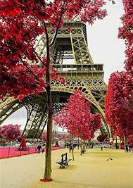 Startseite / diamond painting (diamanten malerei). Diamond Paris Der Beste Preis Amazon In Savemoney Es