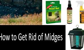 We did not find results for: 10 Ways To Get Rid Of Midges 10 Best Repellents Insect Killers 2021