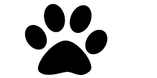 Png Pata De Cachorro By Live4jbiebs On Deviantart This high quality transparent png images is totally free on pngkit. png pata de cachorro by live4jbiebs on