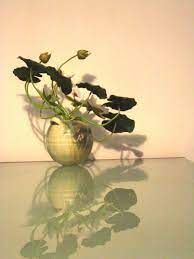 无心插花之二 莲心向道 无心插花为花道一法 行者执花组成相 相趋一方势凌波 相成藏花度时光 顿见花成组心势