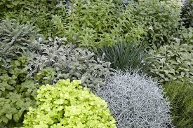 So Legen Sie Einen Krautergarten Richtig An Krautergarten Anlegen Krauter Anpflanzen Krauterbeet