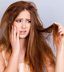 Hair and scalp become dry, and hair lacks shine. 16 Best Shampoos Reviews For Dry And Damaged Hair In India 2021