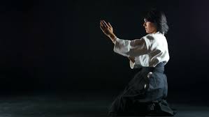 Big collection of aikido hd wallpapers for phone and tablet. Aikido Wallpaper Hd 1920x1080 Wallpaper Teahub Io