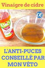 Le Meilleur Traitement Pour Empecher Les Puces D Attaquer Votre Chien Produit Anti Puce Anti Puce Traitement Anti Puce