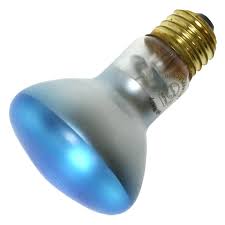 We did not find results for: Philips 415315 50r20 Agro Flood Plant Aquarium Terrarium Light Bulb Walmart Com Walmart Com